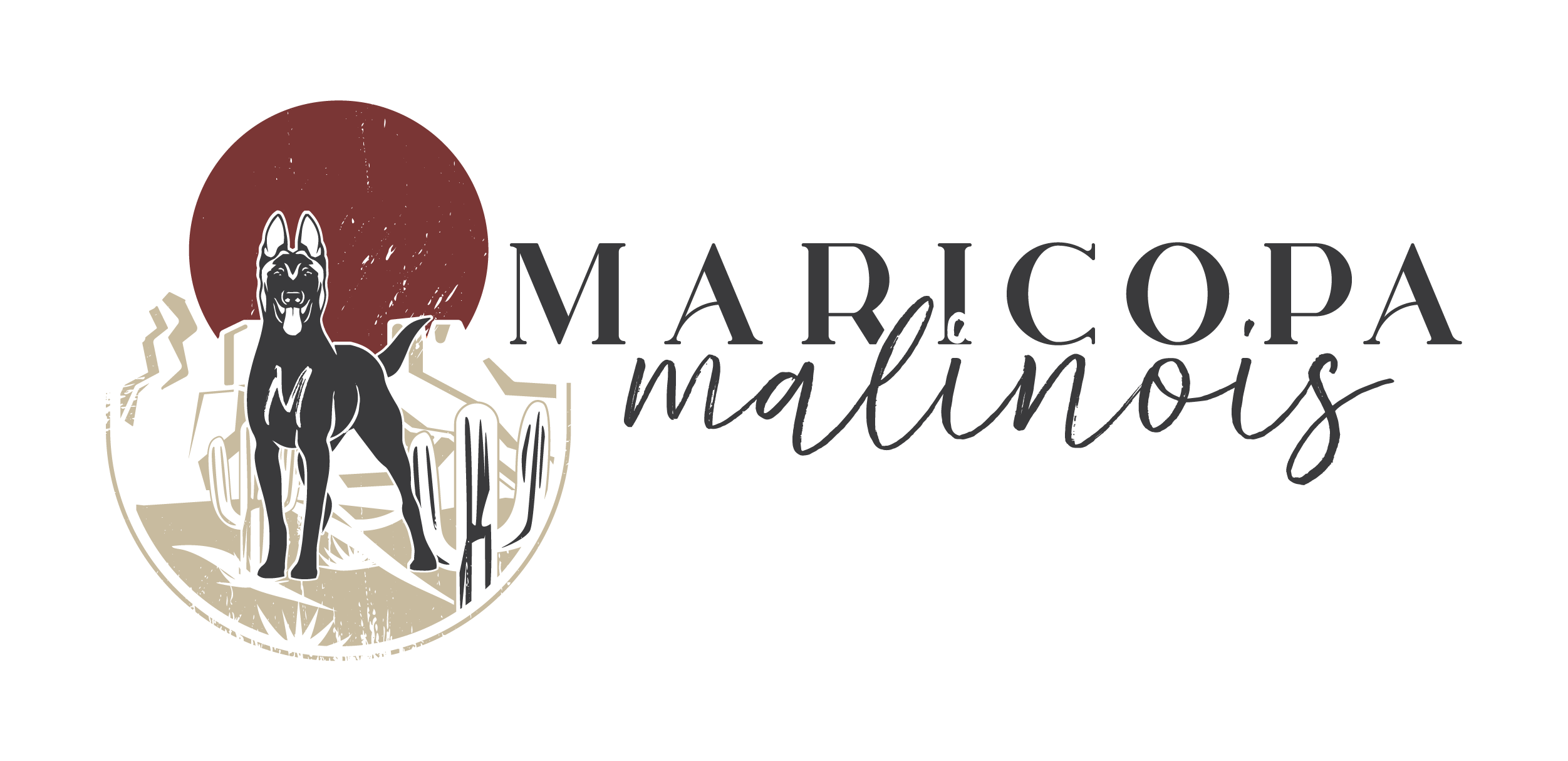 Maricopa Malinois